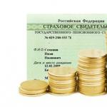 Законодательная база российской федерации 167 фз об обязательном пенсионном страховании в рф